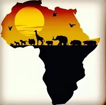 [20 by 20cm] Africa