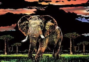 [40 by 30cm] Elephant